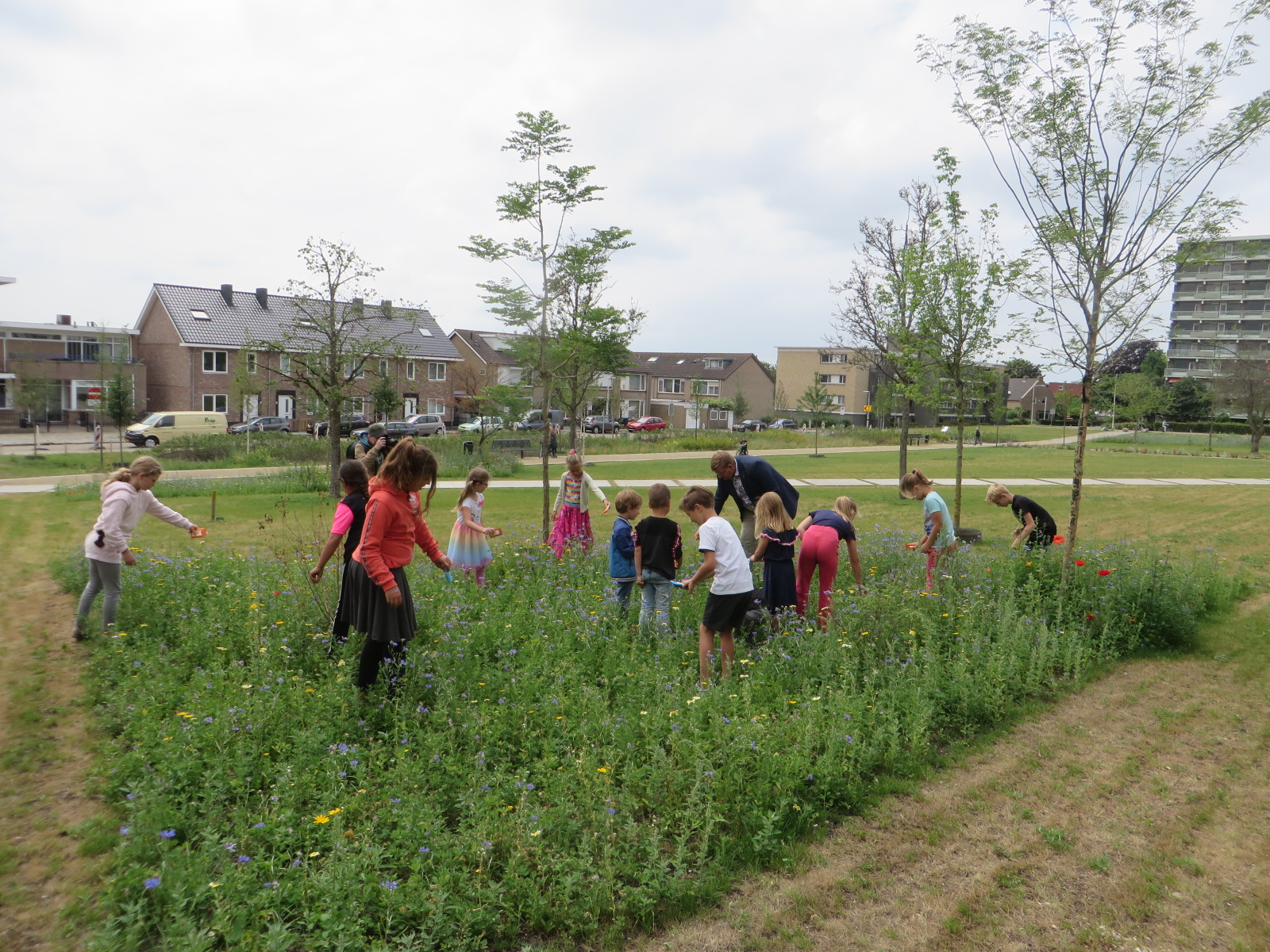 Belvedère 4 - Prop Beplantingswerken
